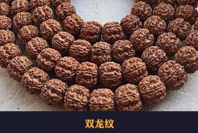目前最火的小金刚,小金刚什么纹路值得拥有