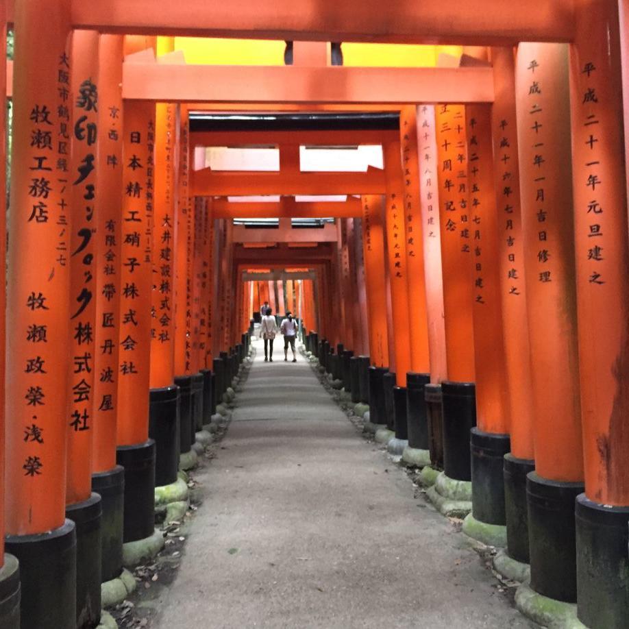 日本关西自助游攻略,关西一日游最佳路线