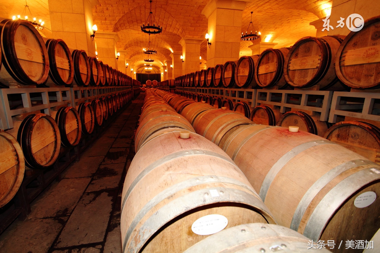 这些食物虽然苦涩，却能培养出优质的红酒