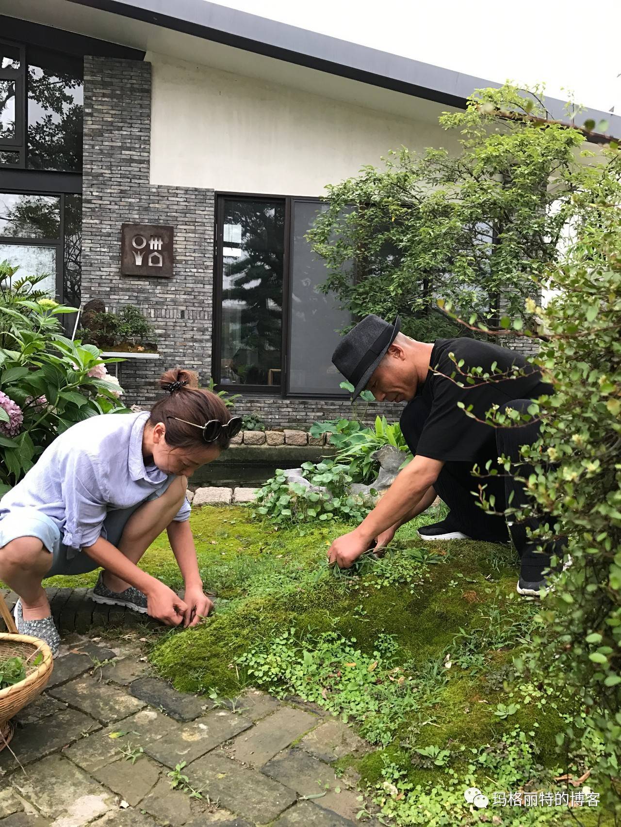 鎷滆涓滅鑽夊爞,鑺卞洯鎷滆