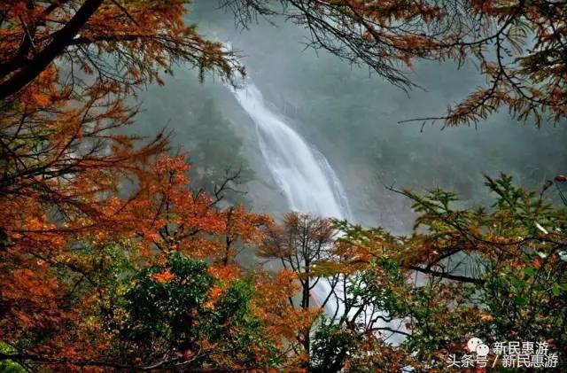 走进太湖走进大自然放松心情,太湖生态秘境之旅