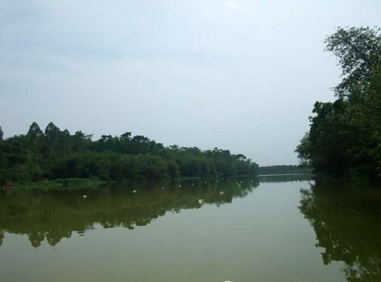 捕鱼技巧矿泉水瓶,爸爸捕鱼记