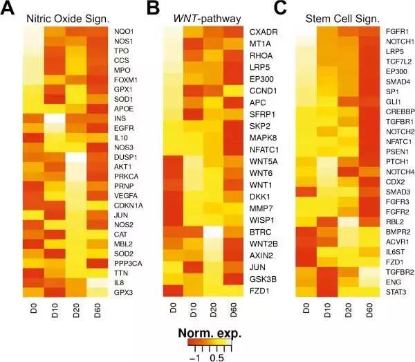 如何用python和机器学习炒股赚钱,python炒股从零开始