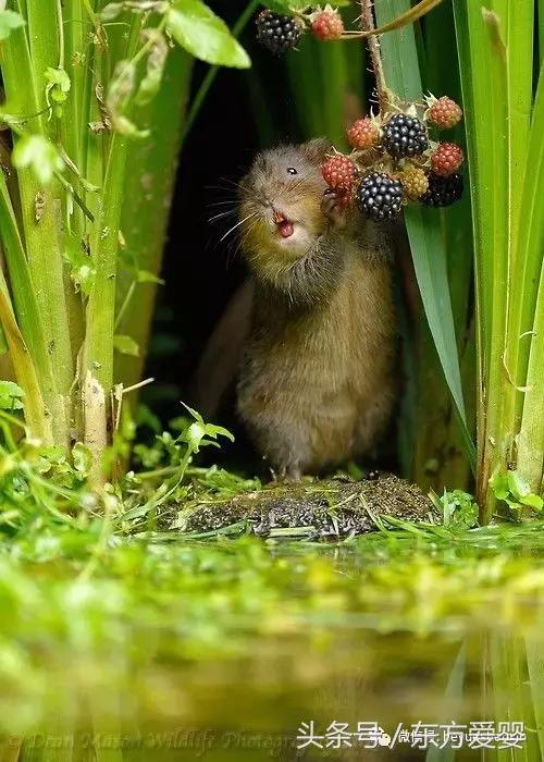 亲子互动手指谣,亲子互动手指谣小板凳