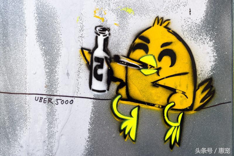 养着宠物还抽烟,你是拿它们的小命儿来燃烧!