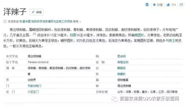 今年夏天，承德有种很小的动物，此神兽攻击力极强摸一下，神魂颠倒，还能吃？而且价格不菲！