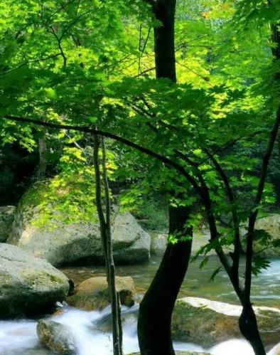 沈阳附近旅游攻略必玩的景点最新,沈阳旅游景点免门票的有哪些地方