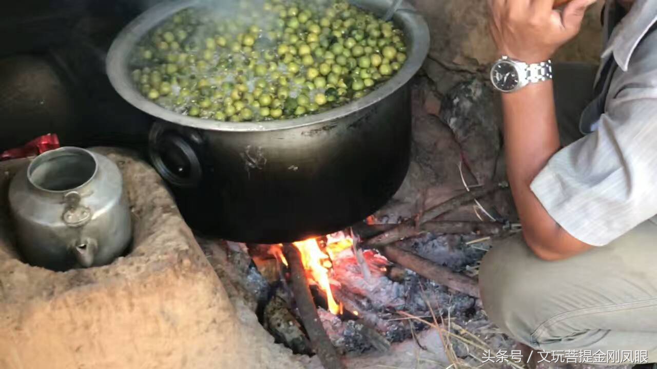 凤眼菩提从下树所有工序,千眼菩提开果过程