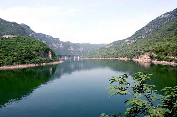 山西阳城蟒河猕猴自然保护区,阳城猴是谁