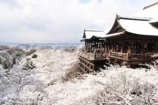 东京京都大阪奈良攻略8天,京都大阪神户奈良自由行第2版