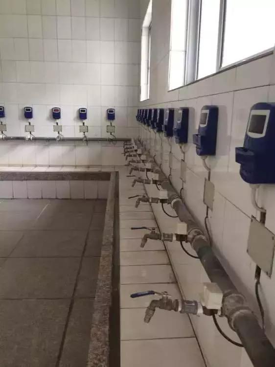 谢谢你高中征文,鲁迅中学初中