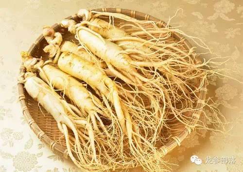 夏季适合食用人参吗,夏天怎么吃人参