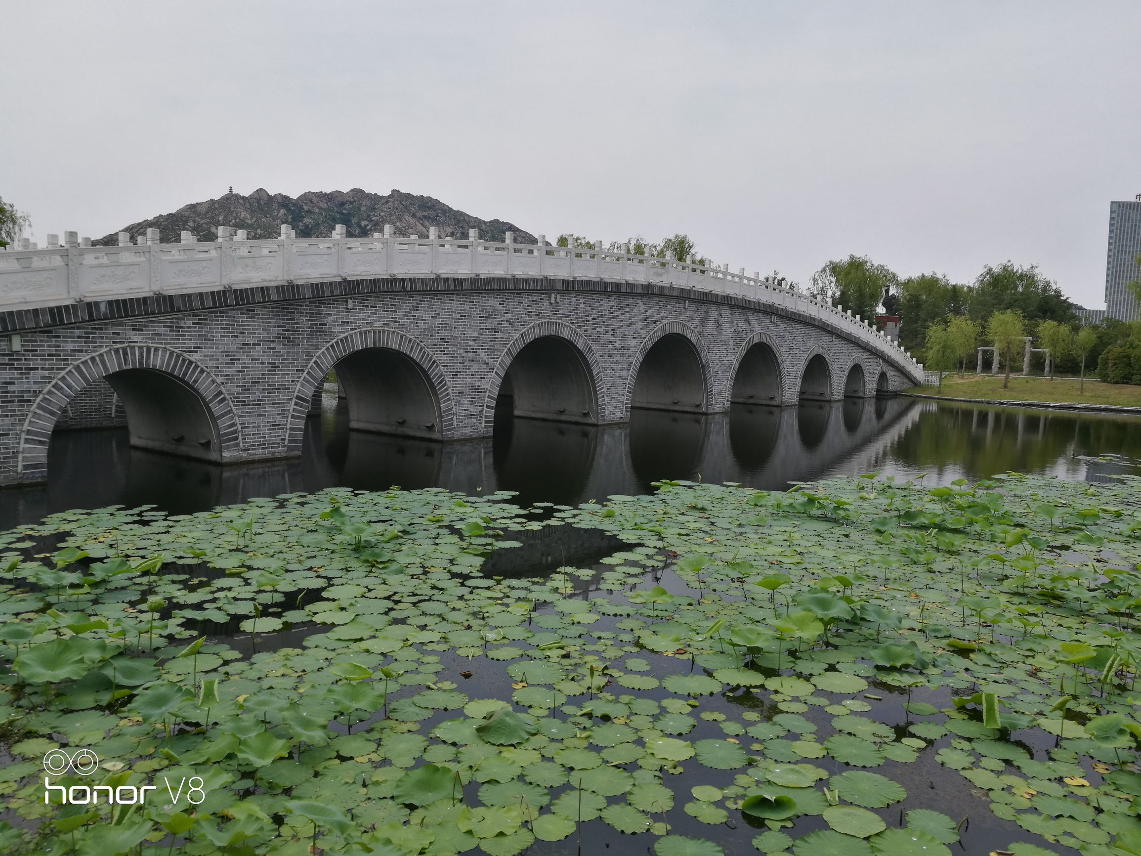 闲鱼几百元荣耀v8,闲鱼1000元荣耀v7