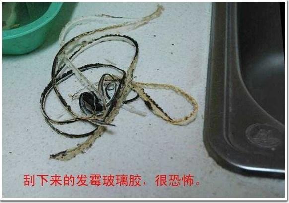 洗碗池胶发黑,洗碗槽玻璃胶发霉了怎么办