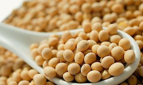 中国农业发展趋势及前景,中国农业行业前景