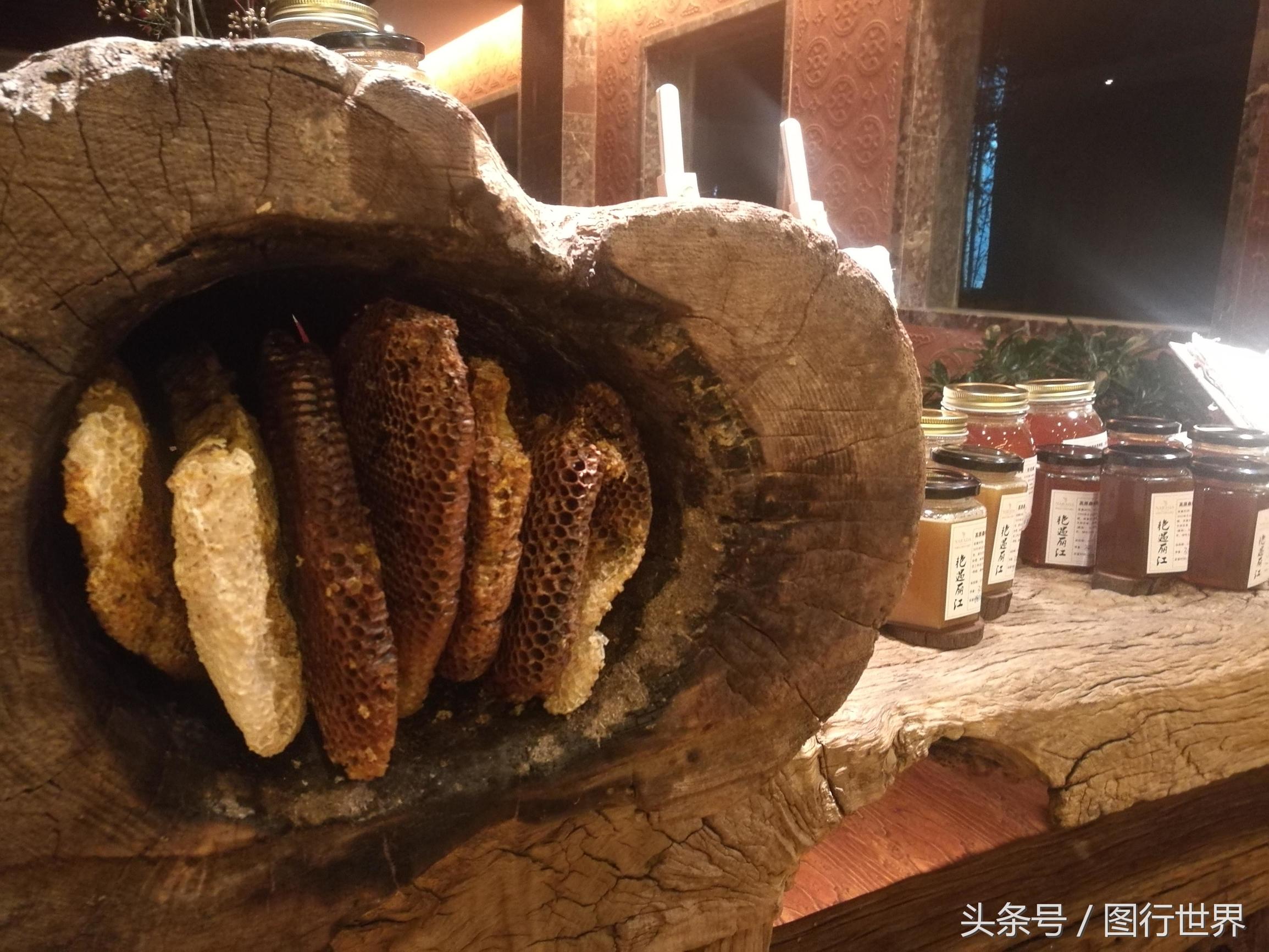 去丽江住客栈好还是住民宿,去丽江客栈还是酒店