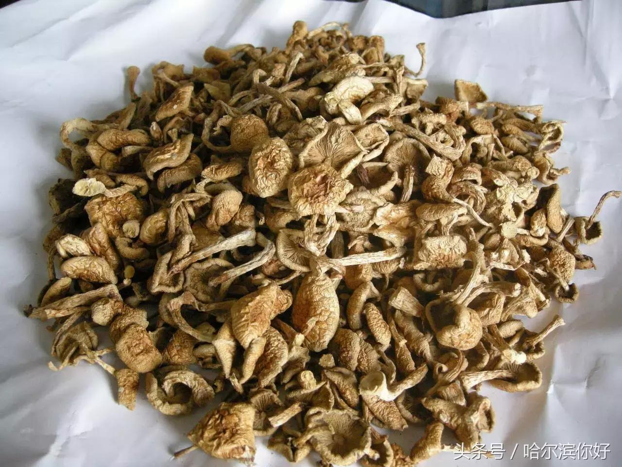 哈尔滨尚志未来5年规划,哈尔滨尚志最新规划