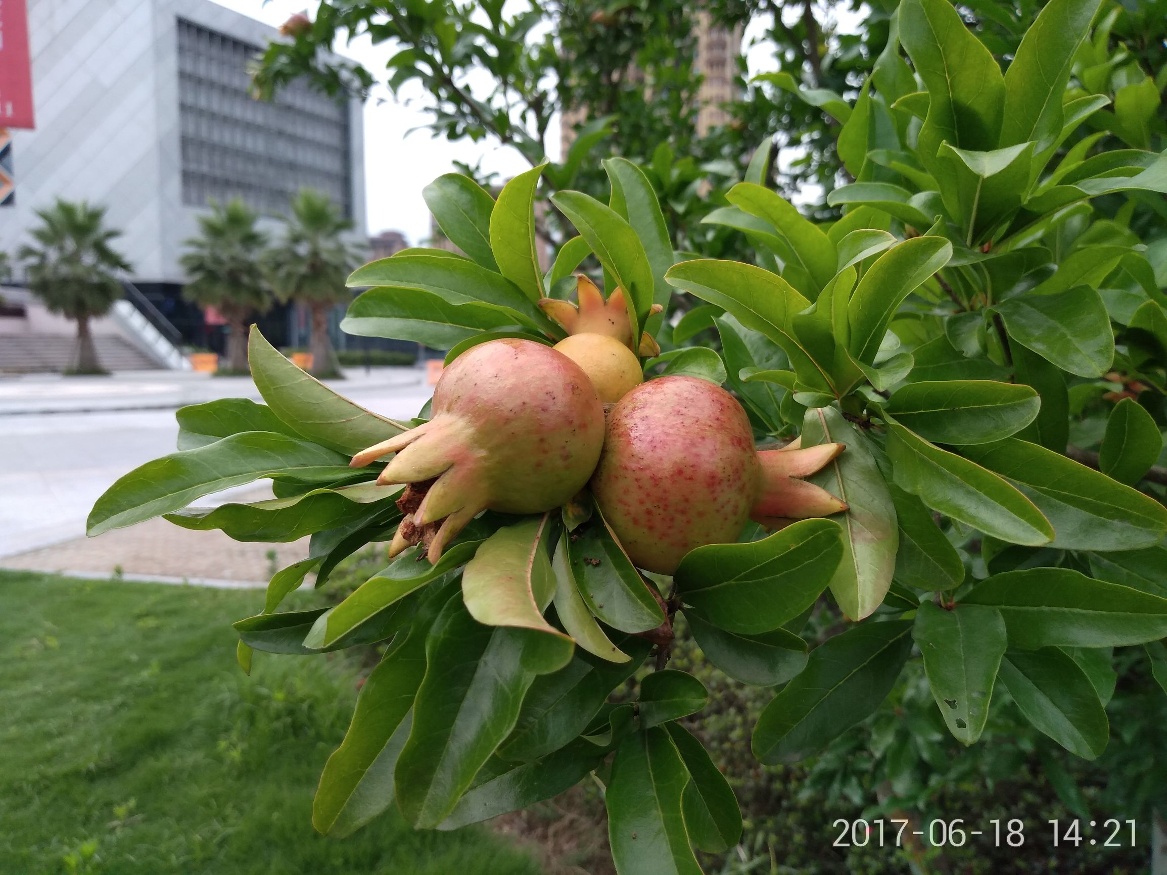 360n4s骁龙版拍照评测,360手机n5和n5s有什么区别