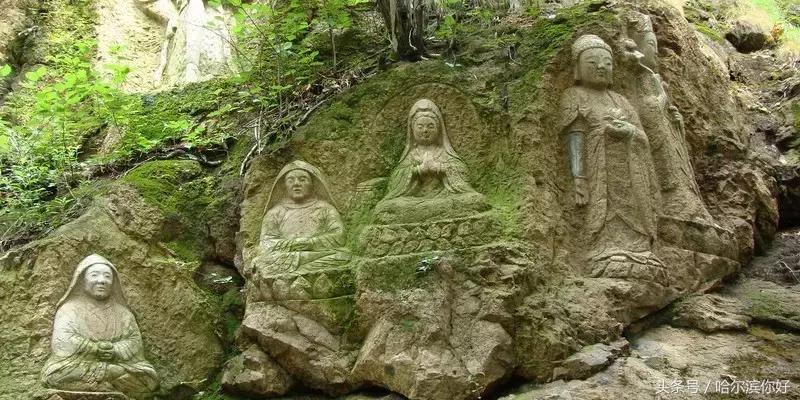 哈尔滨尚志未来5年规划,哈尔滨尚志最新规划