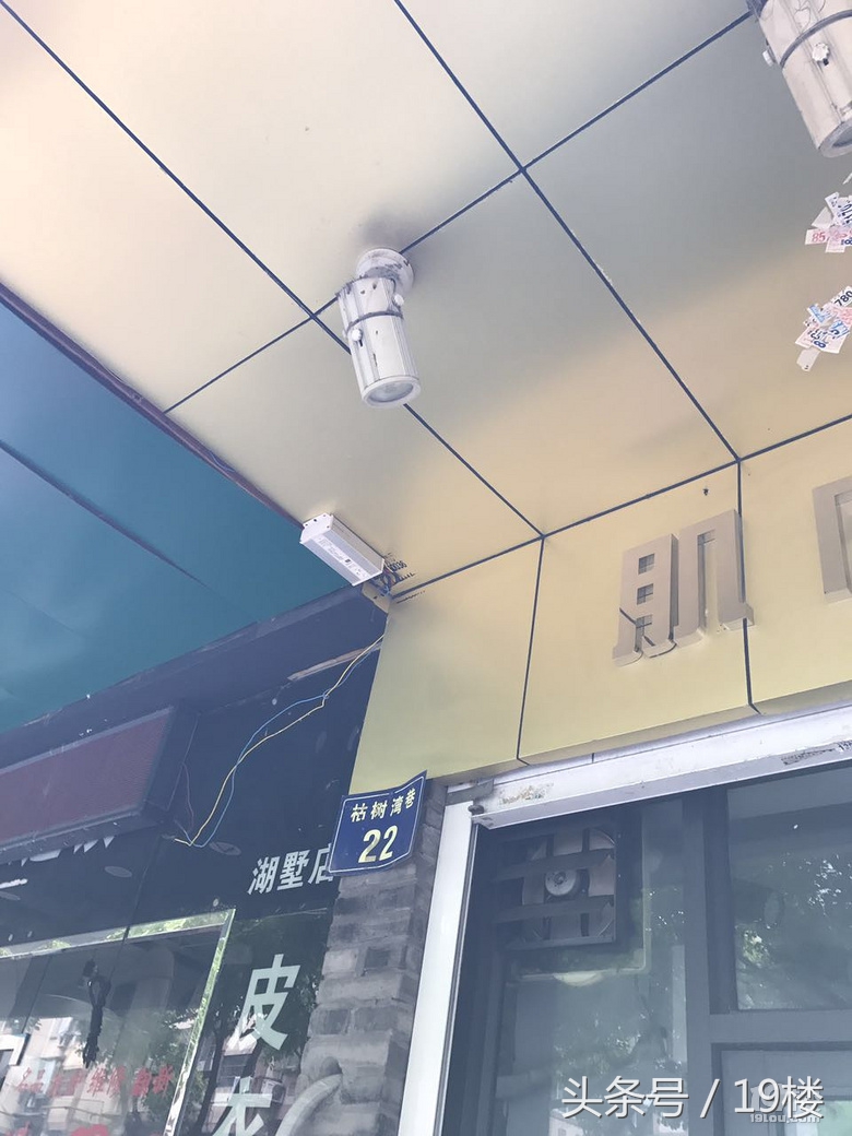 小燕子来家里筑巢被婆婆赶走了,小燕子来家里筑巢被故意弄坏