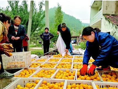 中国农业发展趋势及前景,中国农业行业前景