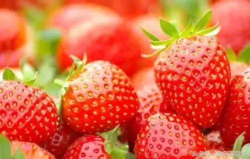 哈尔滨尚志未来5年规划,哈尔滨尚志最新规划