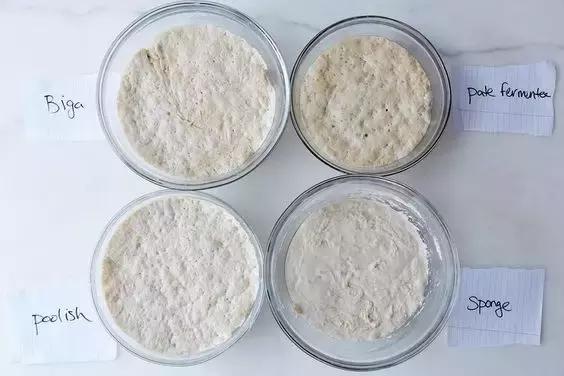 面包的酵种知识,面包的人生哲理