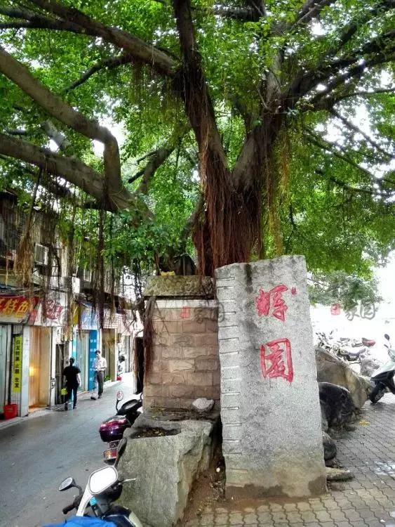 韶关，一个我们舍不得说再见的地方，韶关人顶起！