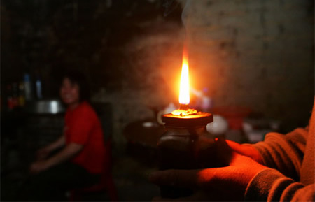 灯芯花有什么作用和功效 (灯芯花食用方法)