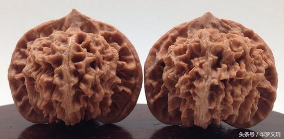 龙鳞纹狮子头和龙鳞纹官帽区别,金刚纹官帽狮子头