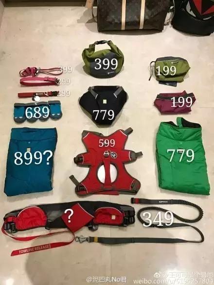 王思聪的狗坐私人飞机这和10多万的狗链比算什么？