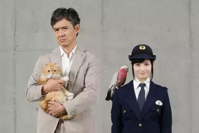 不管你们看不看，每季日剧前瞻我都很爱