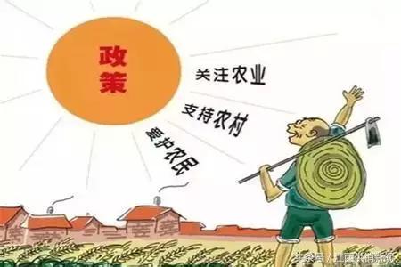 农业产业化项目有哪些政策支持,农业综合开发产业化项目