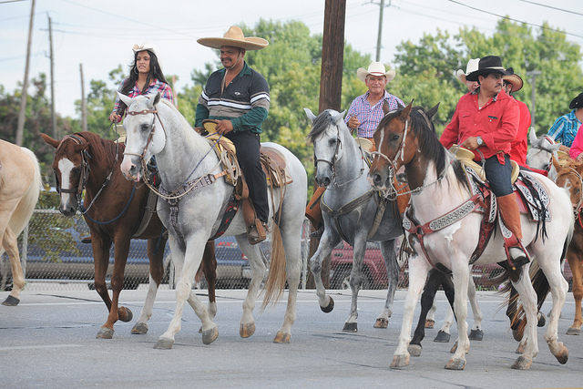 吃热狗挑战赛,吃热狗大赛热狗多重