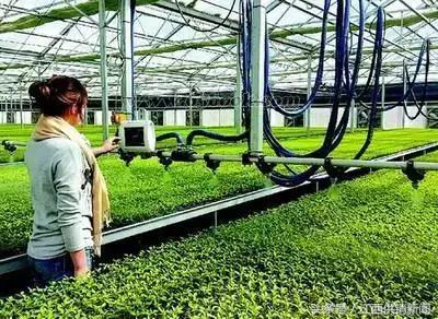 农业产业化项目有哪些政策支持,农业综合开发产业化项目