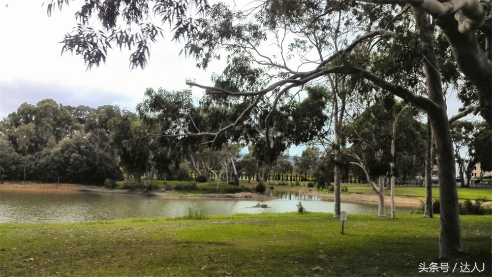 澳洲阿德莱德vs悉尼fc,阿德莱德对澳洲悉尼