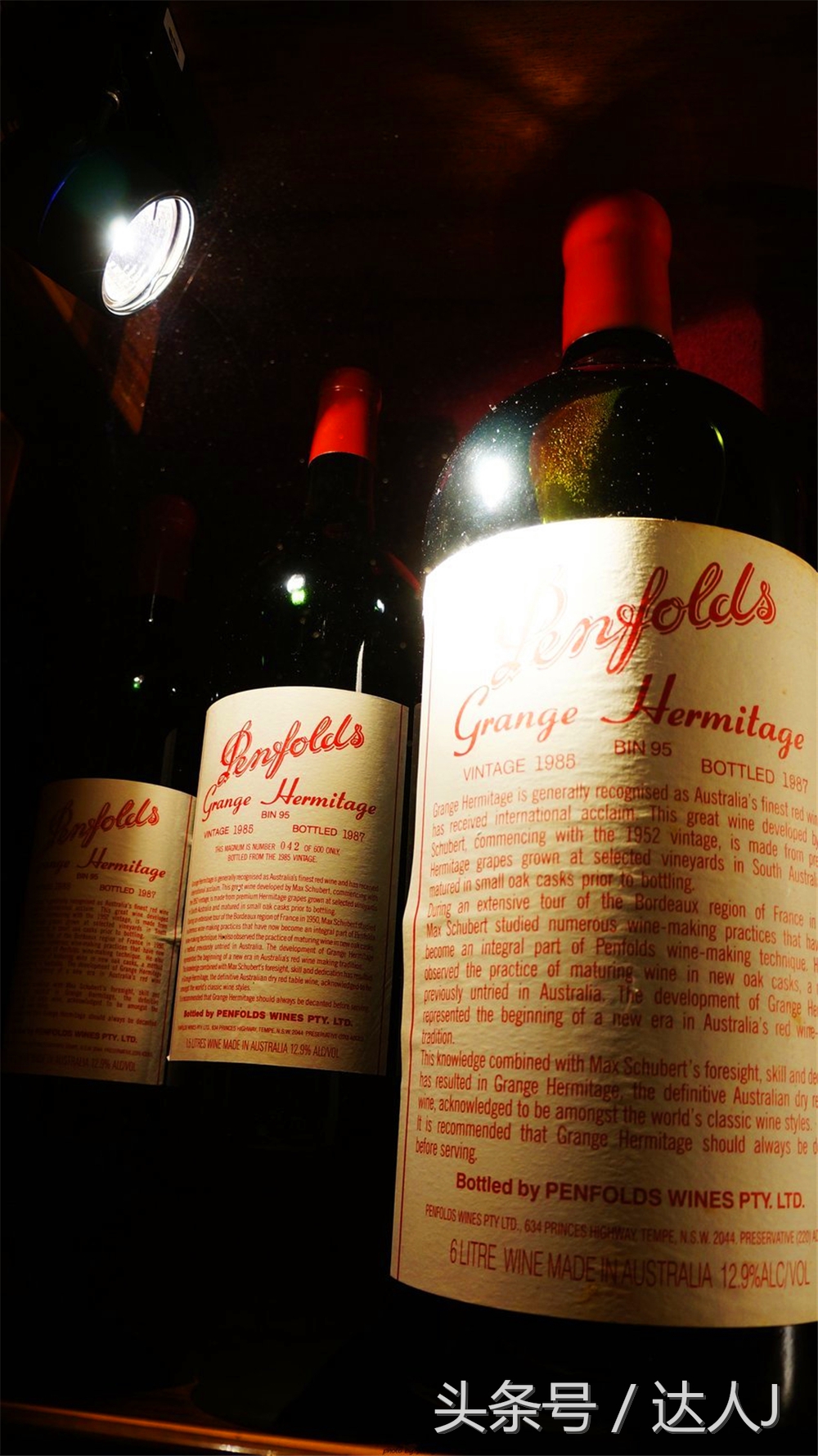 澳洲阿德莱德vs悉尼fc,阿德莱德对澳洲悉尼