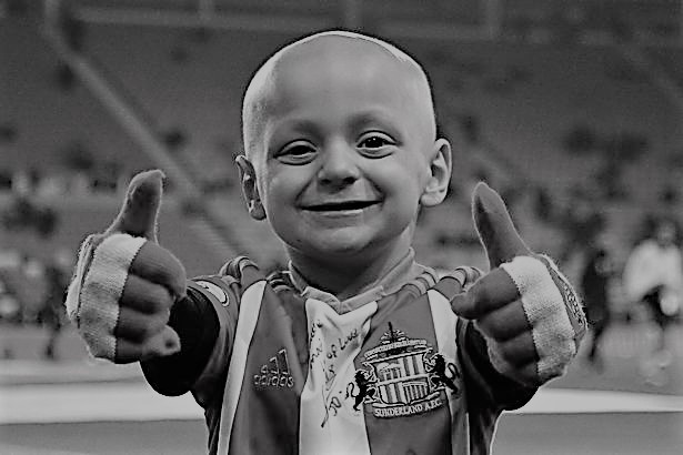 小布拉德利视频,小布拉德利