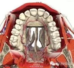 口腔拔牙图片,口腔拔牙麻醉多久消退