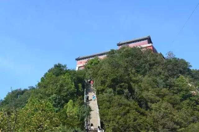 洪洞大槐树民歌问我祖先在何处,问祖先何处来山西洪洞大槐树歌曲