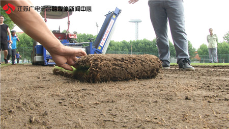 南京奥体中心篮球场被吐槽,南京奥体中心体育场为什么横开