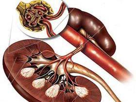 血尿里面有什么成分,血尿的原因和危害及其饮食禁忌