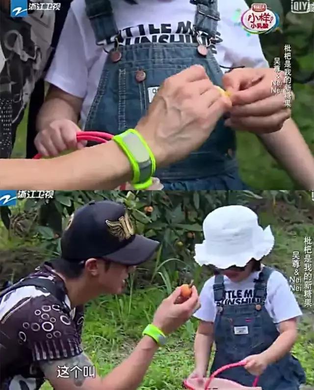 亲测10款驱蚊产品使用报告,驱蚊亲测有效