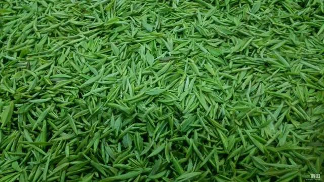 洪雅，担得起好山好水好好吃的最高赞美