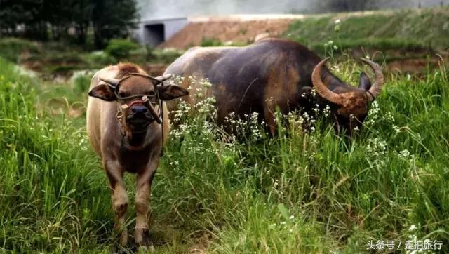 滁州有哪些地方可以下班去逛逛,滁州十大必去景点推荐