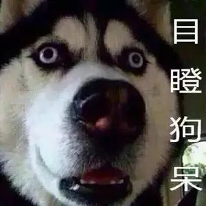 狗狗救命小知识,狗狗吃完粑粑之后怎么办