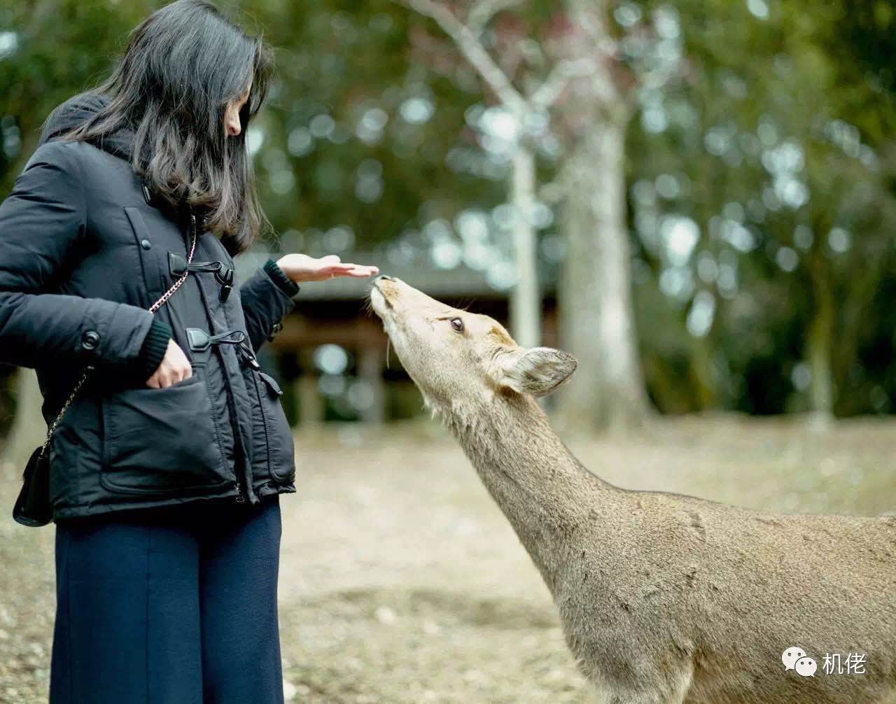 宾得67ii黑白人像,宾得67拍摄效果