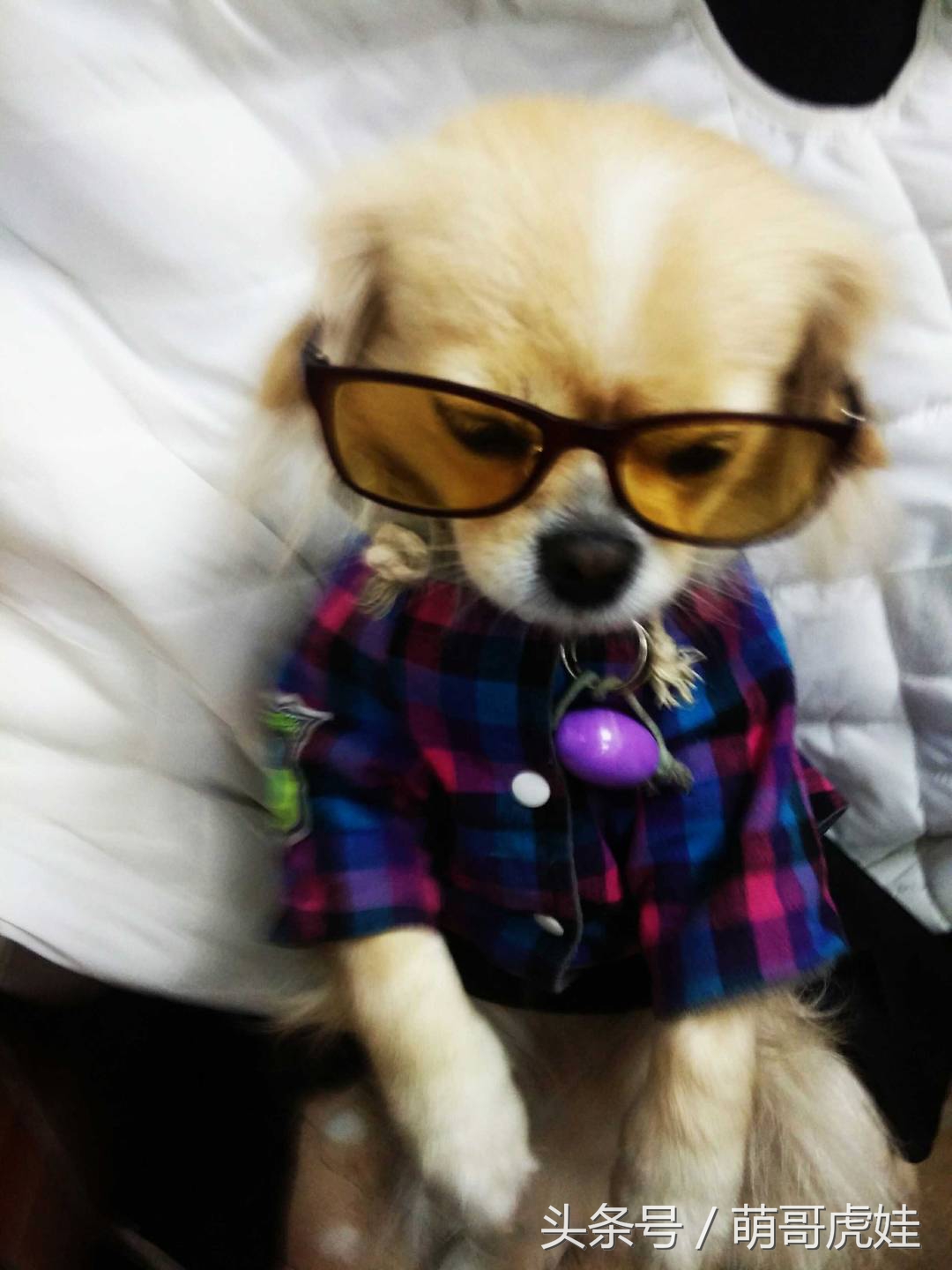 澶忓ぉ鏉ヤ簡鐚ゴ,澶忓ぉ鏉ヤ簡瑕佺粰鐚壀姣涘悧