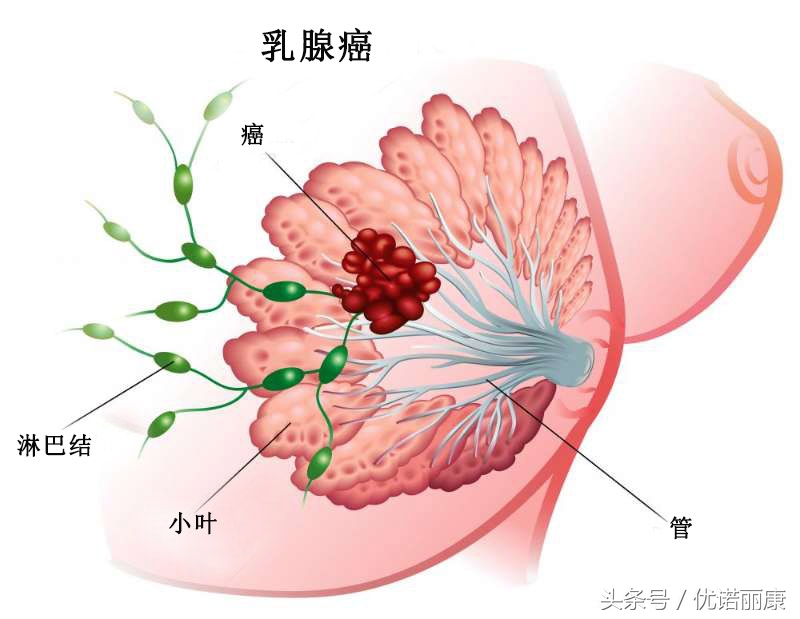 新版黄蓉说出欧阳克真正死因,欧阳佩珊黄蓉去世