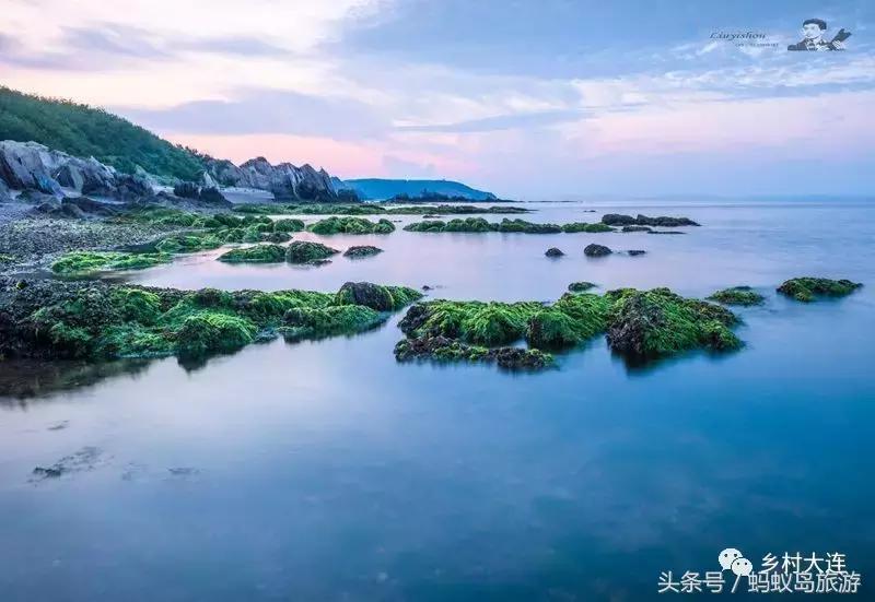 蚂蚁岛一日游,蚂蚁岛半日游